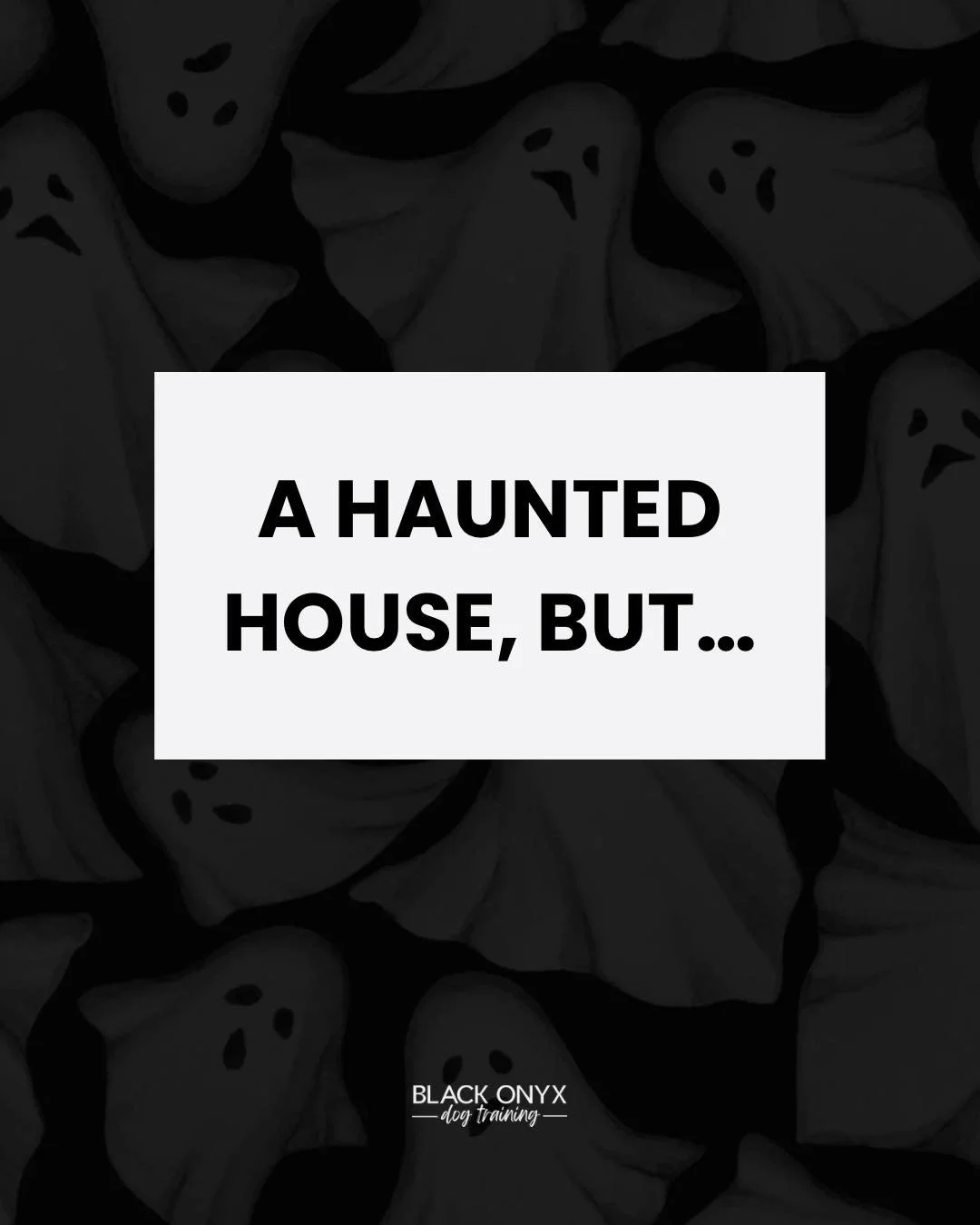 Part 1. &ldquo;A haunted house, but&hellip;&rdquo;
Which one can you relate too?! 🤣