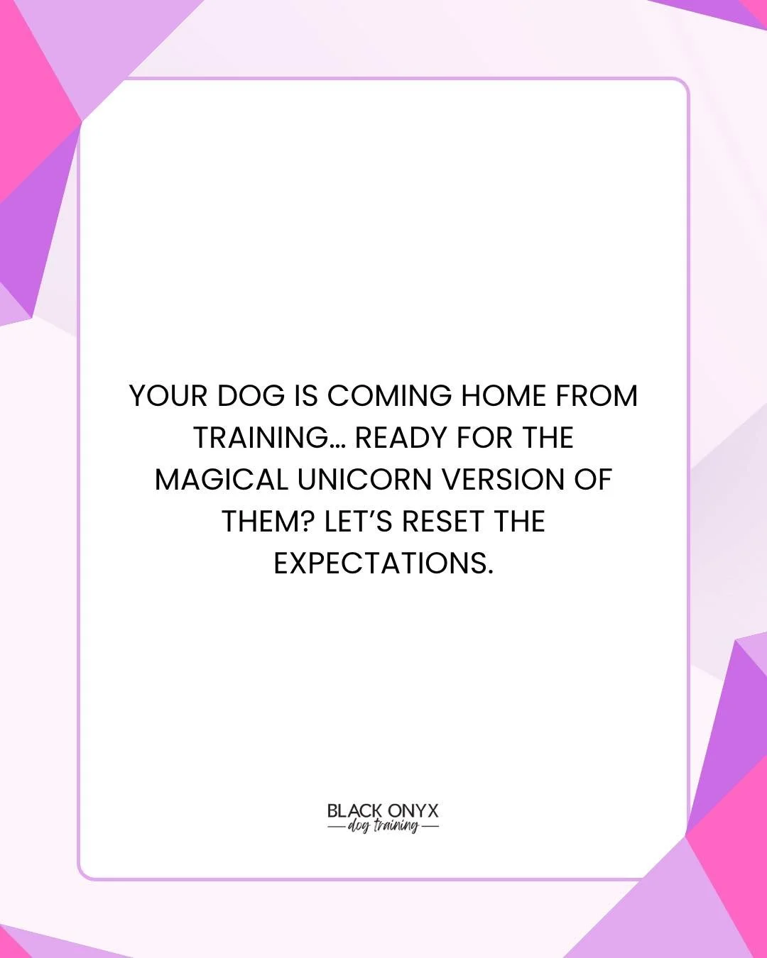 One of the first things I say to every new client:
You&rsquo;ve got to be ready to do the work back home.

A stay &amp; train program gives your dog a strong foundation. But the real progress? That happens when your dog returns to you. When you follo