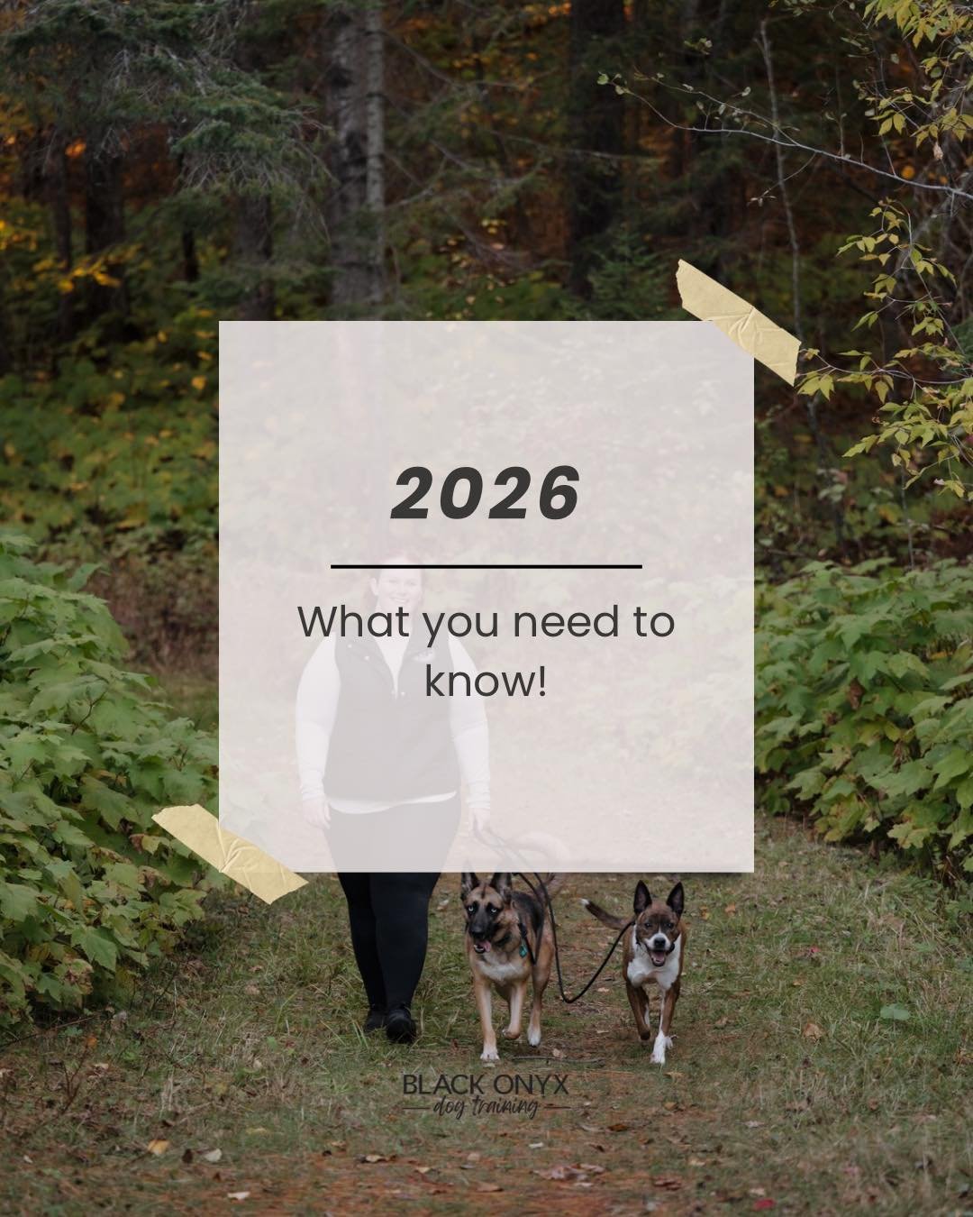 Some things you should know as we head into 2026&hellip;

I&rsquo;m making a few small shifts to help things run smoother on my end and keep your experience as clear and supportive as possible!

A few processes are being updated for clarity. I&rsquo;