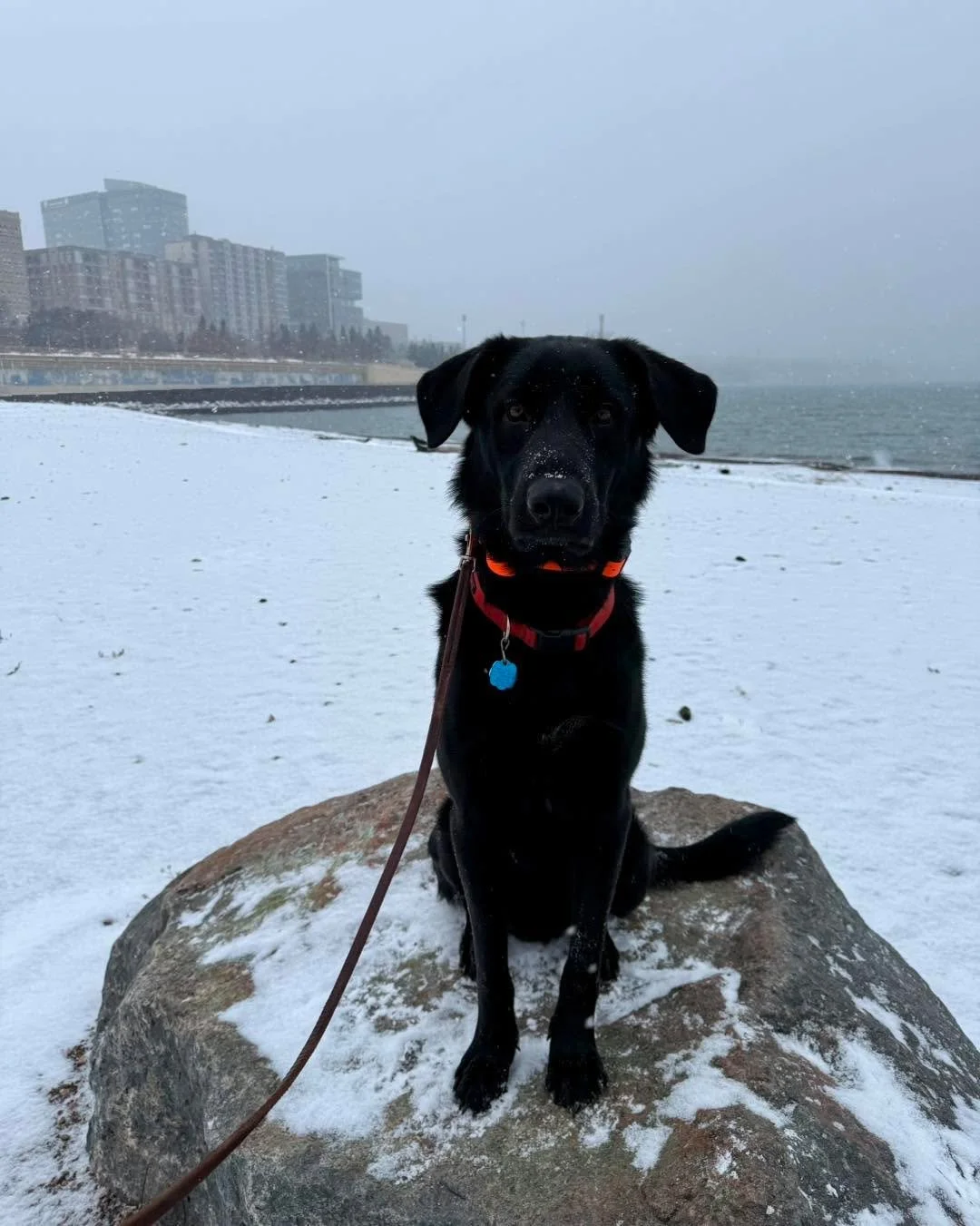 Finn has officially graduated his program and is heading home today! He&rsquo;s worked hard and made so much progress; we&rsquo;re incredibly proud of how far he&rsquo;s come.

As he settles back in, he may test a few boundaries (totally normal!) and