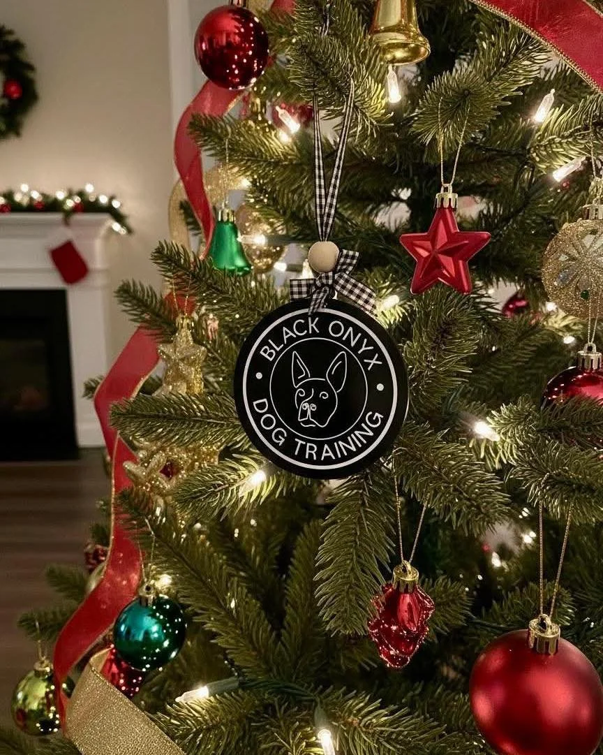 Our Black Onyx holiday ornaments have arrived! Because nothing says &ldquo;festive&rdquo; like proudly displaying your favorite dog training brand next to a ceramic reindeer. 😏 

They&rsquo;re $18 each and made locally by the lovely DG Creations! Wa