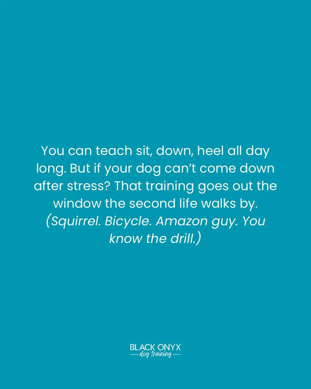 Obedience is great, but it&rsquo;s not the full picture.
The real &lsquo;magic&rsquo; is in mindset regulation: the ability to come back down after stress.