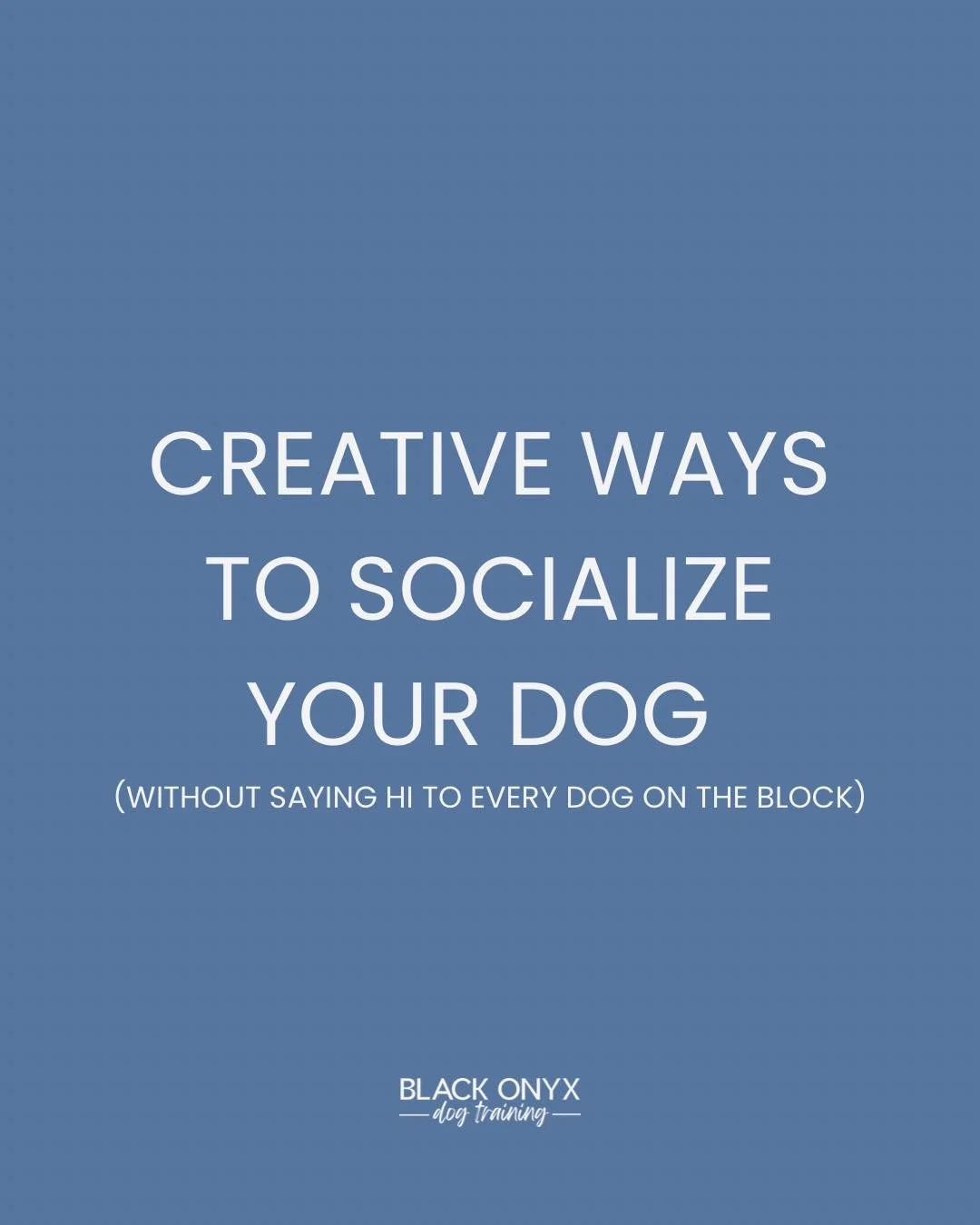If your dog&rsquo;s idea of socializing is pulling toward every dog or person on the block&hellip; That&rsquo;s not socialization. That&rsquo;s overstimulation on a leash.

True socialization is about exposure where our goal is always neutrality.

Th
