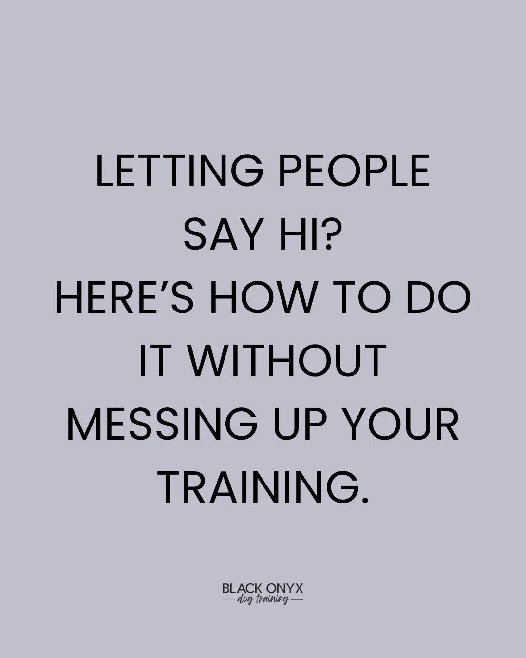 Not every stranger needs to say hi to your dog. The goal should always be neutrality.

If you do choose to let someone greet your dog, do it with intention. Calm dog. Clear expectations. You get to lead the moment.

And yes, &ldquo;No thanks, we&rsqu