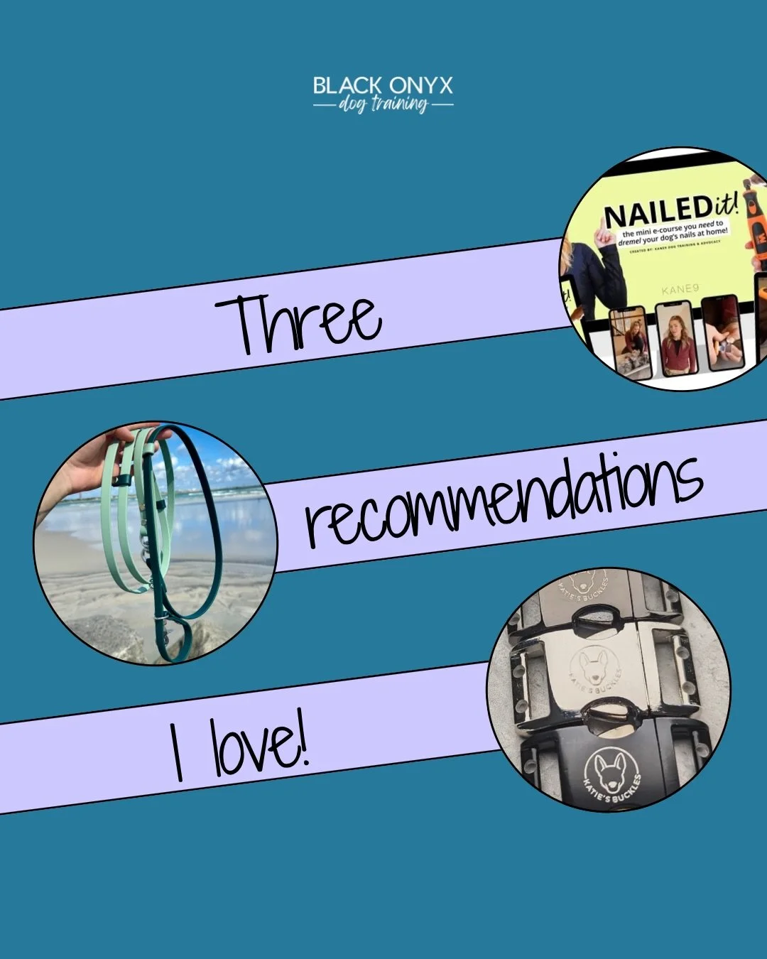 Three recommendations I love! 🖤

1. Nailed it! E-course by @kane9dogtraining! If you&rsquo;re needing help with getting your dogs nails cut at home, this is a great resource! 

2. Hands-free leashes from @salty.paws.life! These can be slip or clip l