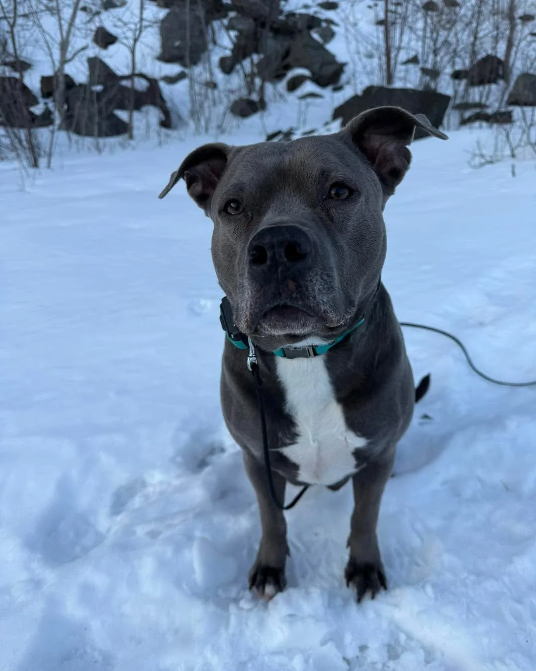 Jolene wrapped up her training program and made incredible progress. She came in with a lot of big feelings and has learned how to slow down and think a little more clearly.

Now, she&rsquo;s heading home with her family who is locked in, prepared, a