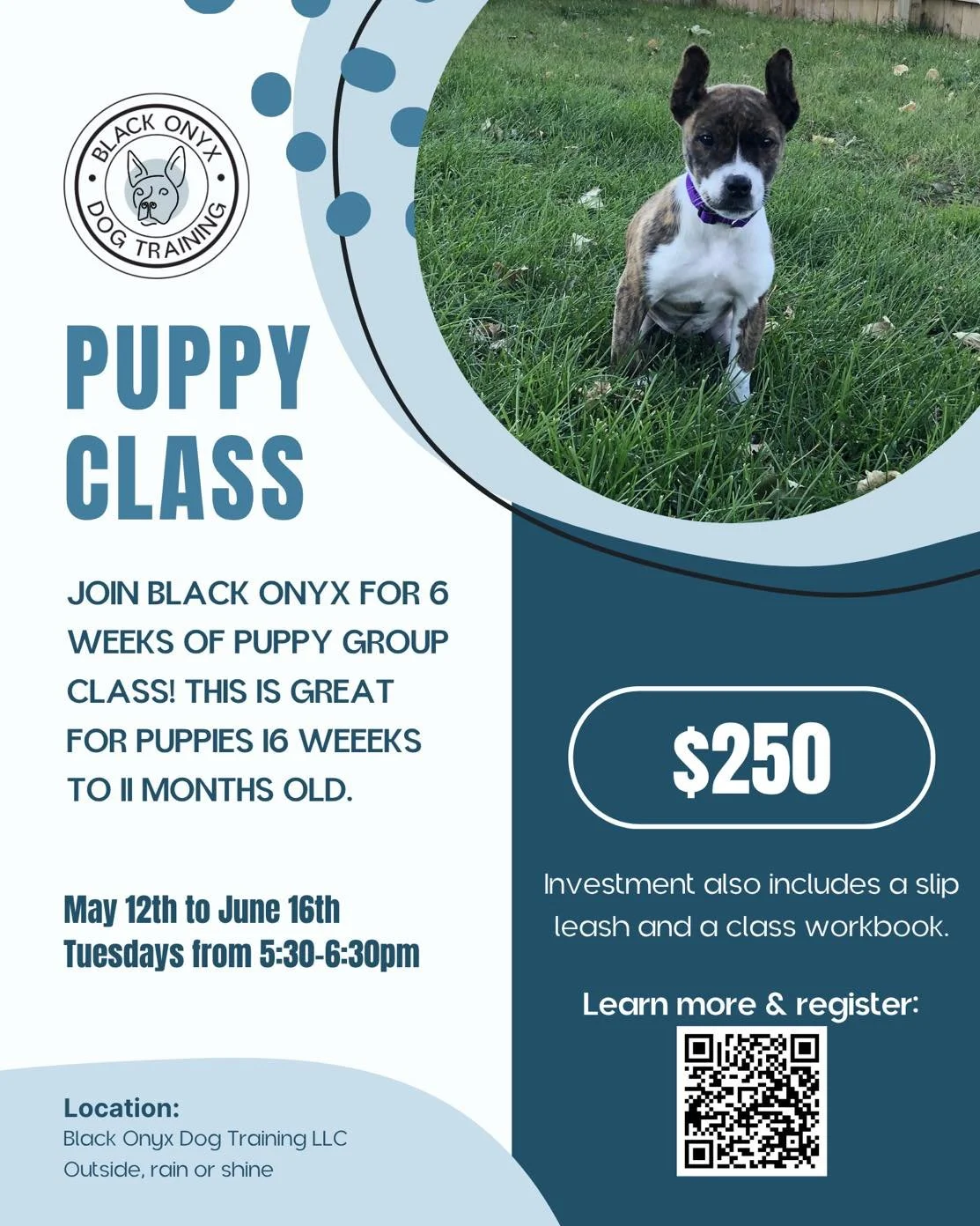 Y&rsquo;all&hellip; it&rsquo;s been a minute 👀
By popular demand, I&rsquo;m bringing back ONE puppy class! 

📍 Hosted at Black Onyx (outdoors, rain or shine)
📅 Starts Tuesday, May 12 at 5:30 PM for 6 weeks
💲 Investment: $250 (includes slip leash 