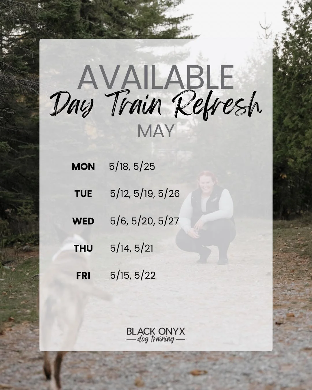 May Day Train Refresh availability!

These are perfect for a tune-up, working on a new skill, going on an outing, or even if you just have a long day at work and want your dog to have a productive day!

$65 for the day. Scheduled AM drop-off + PM pic