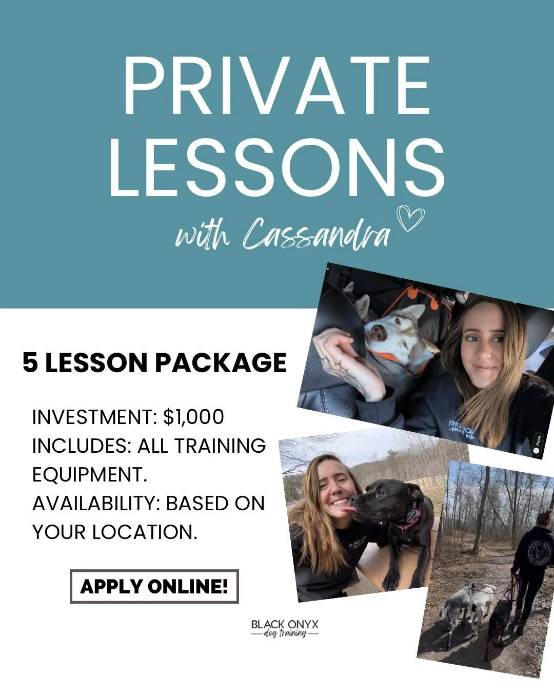 We are opening a select number of private lesson package opportunities led by trainer Cassandra, designed for owners who are ready to commit to a higher level of structure, clarity, and follow-through.

This program is intentionally limited to ensure