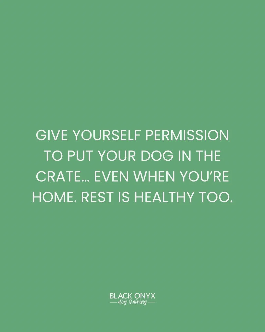 Sometimes the best thing you can do is let go of the guilt, the pressure, and everyone else&rsquo;s opinions and do what helps you and your dog succeed. 🖤