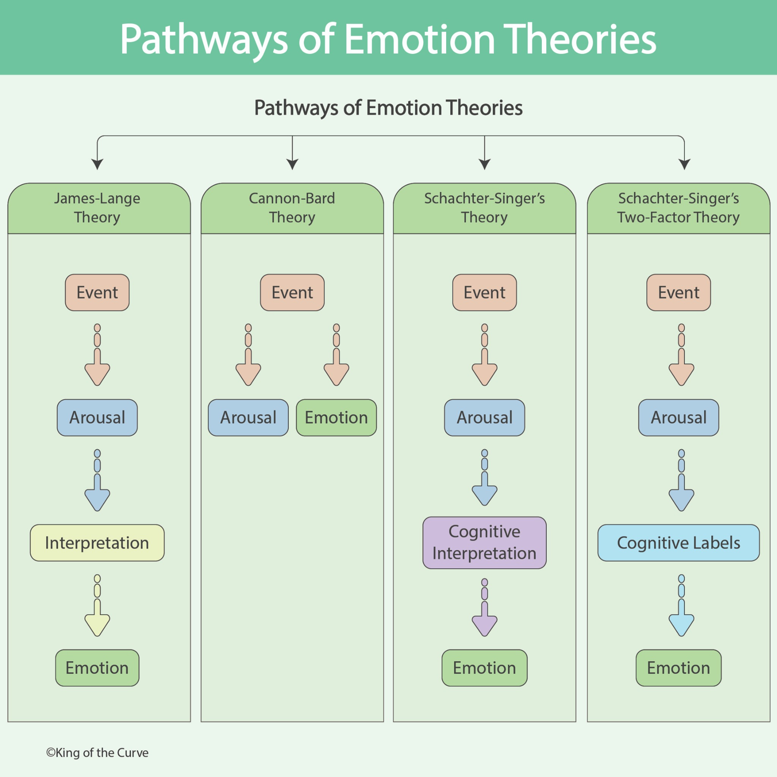 🧠 Pathways of Emotion Theories: How Do We Actually Feel Emotions?