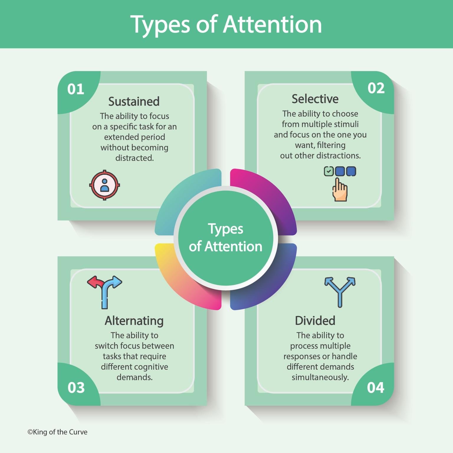 🧠 Types of Attention: How the Brain Focuses