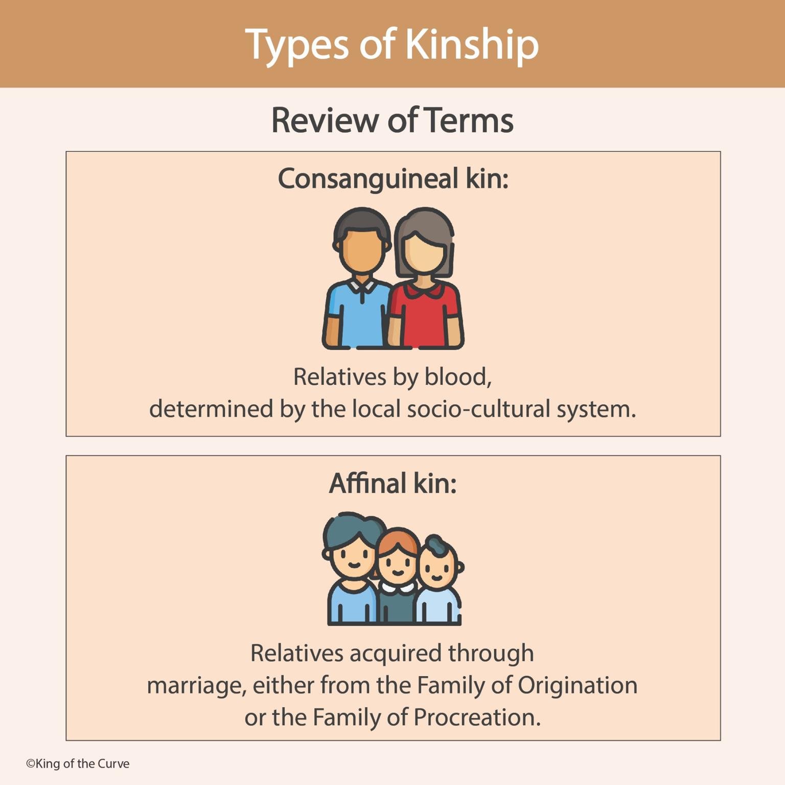 🧬 Types of Kinship: Understanding Social Bonds for the MCAT