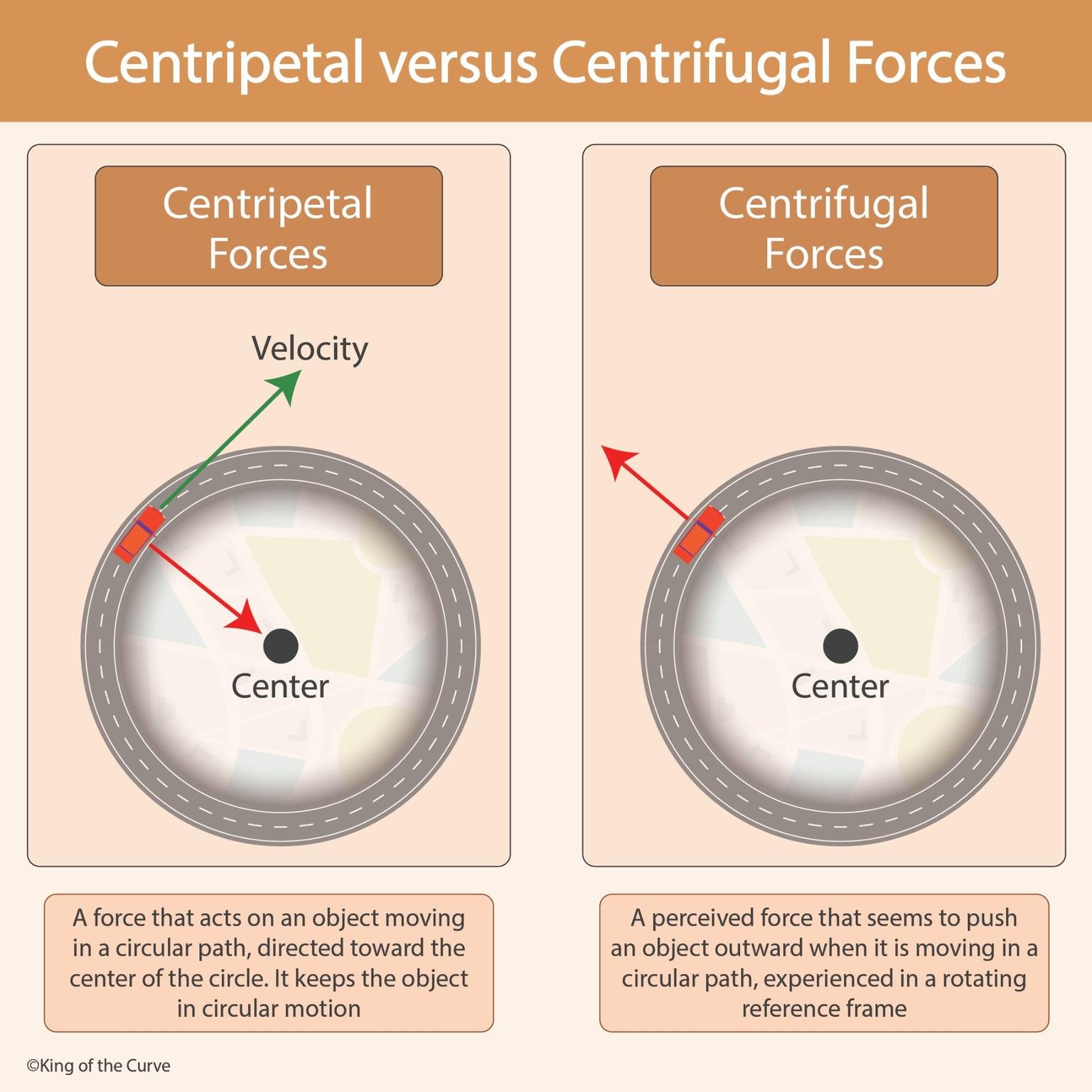 🎡 Centripetal vs Centrifugal Force: What’s Real and What’s Not? (MCAT Physics Visual)