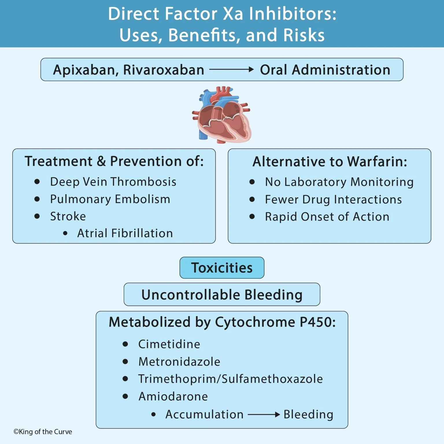🔹 Direct Factor Xa Inhibitors: Uses, Benefits, and Risks