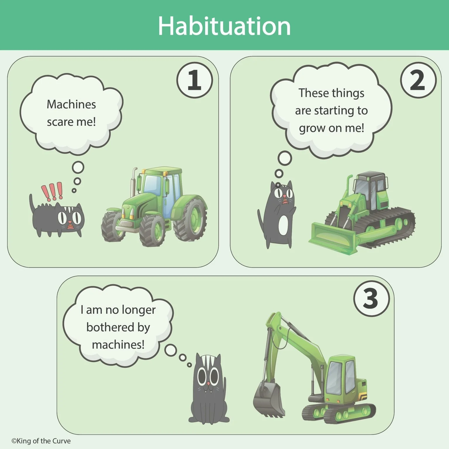 🐾 Habituation: Getting Used to a Stimulus (MCAT/NCLEX High-Yield)
