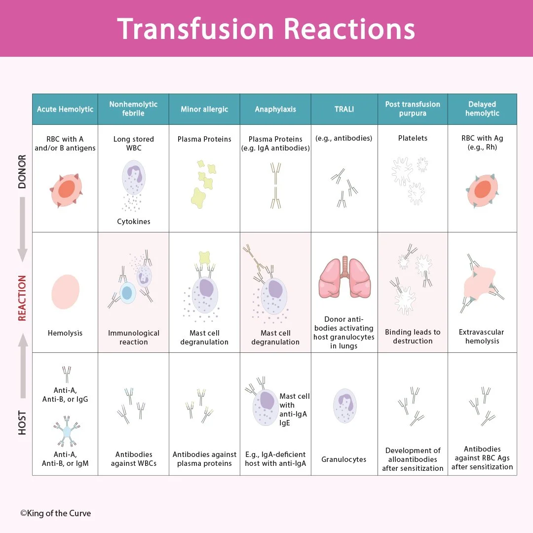 🩸 Transfusion Reactions Explained: High-Yield Guide for MCAT, NCLEX, and USMLE
