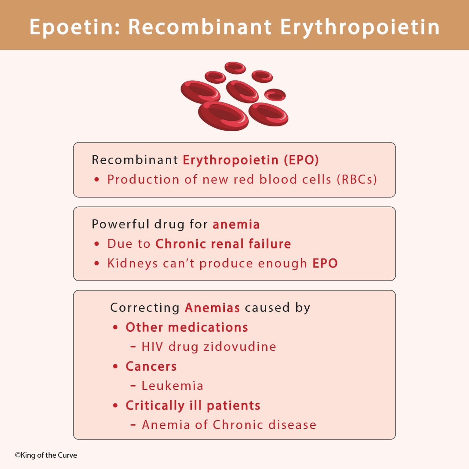 🩸 Epoetin: Recombinant Erythropoietin (EPO)