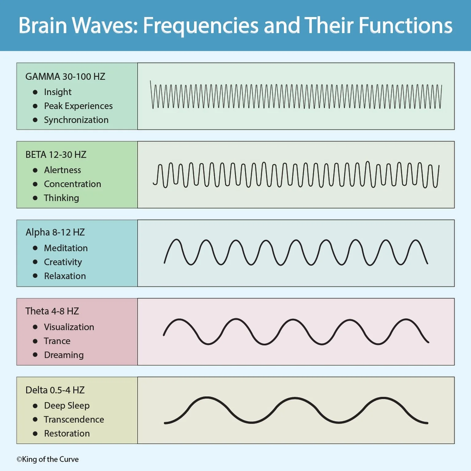 🧠 Brain Waves Explained: Frequencies and Their Functions (MCAT EEG Guide)