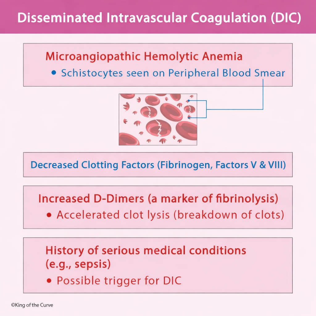🩸 Disseminated Intravascular Coagulation (DIC): Key Findings and Clinical Significance