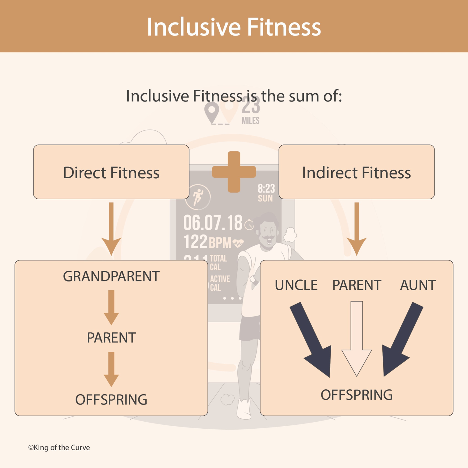 🧬 Inclusive Fitness Explained: A Key Concept in Evolutionary Biology