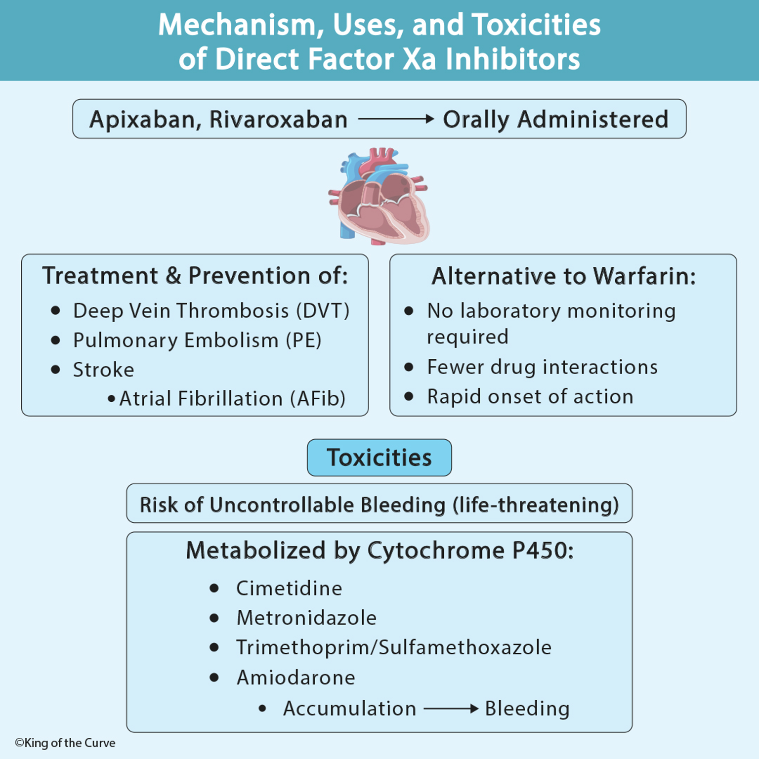 💊 Direct Factor Xa Inhibitors: Mechanism, Uses, and Toxicities