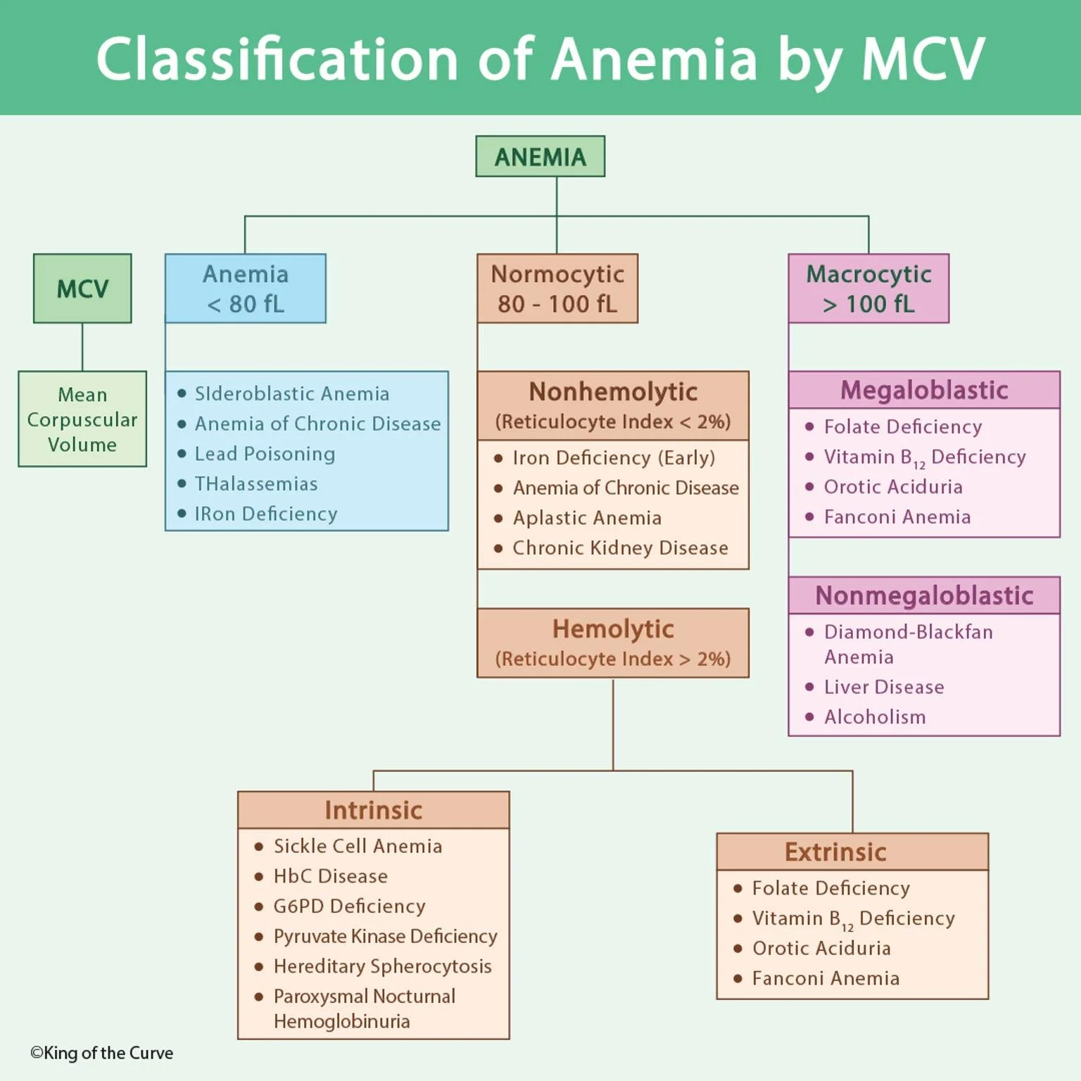 🩸 Classification of Anemia by MCV: A Complete Guide