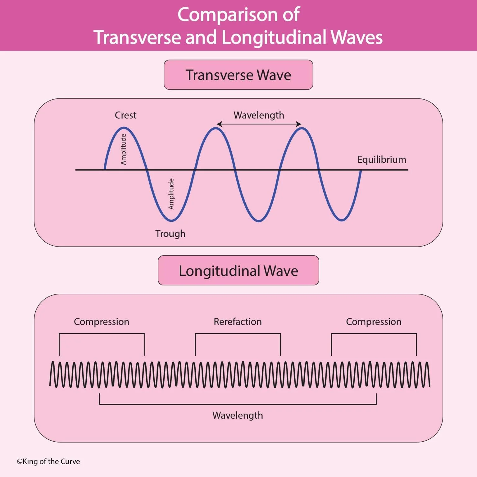 🌊 Comparison of Transverse and Longitudinal Waves