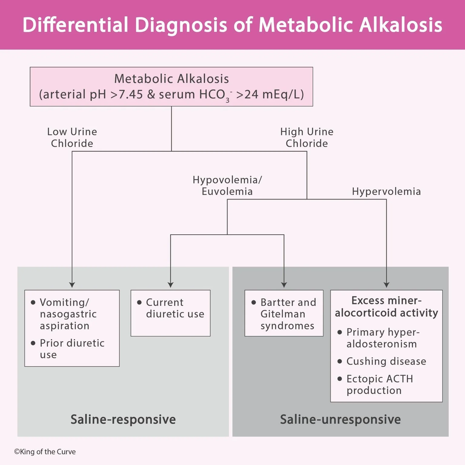 🧪 Differential Diagnosis of Metabolic Alkalosis