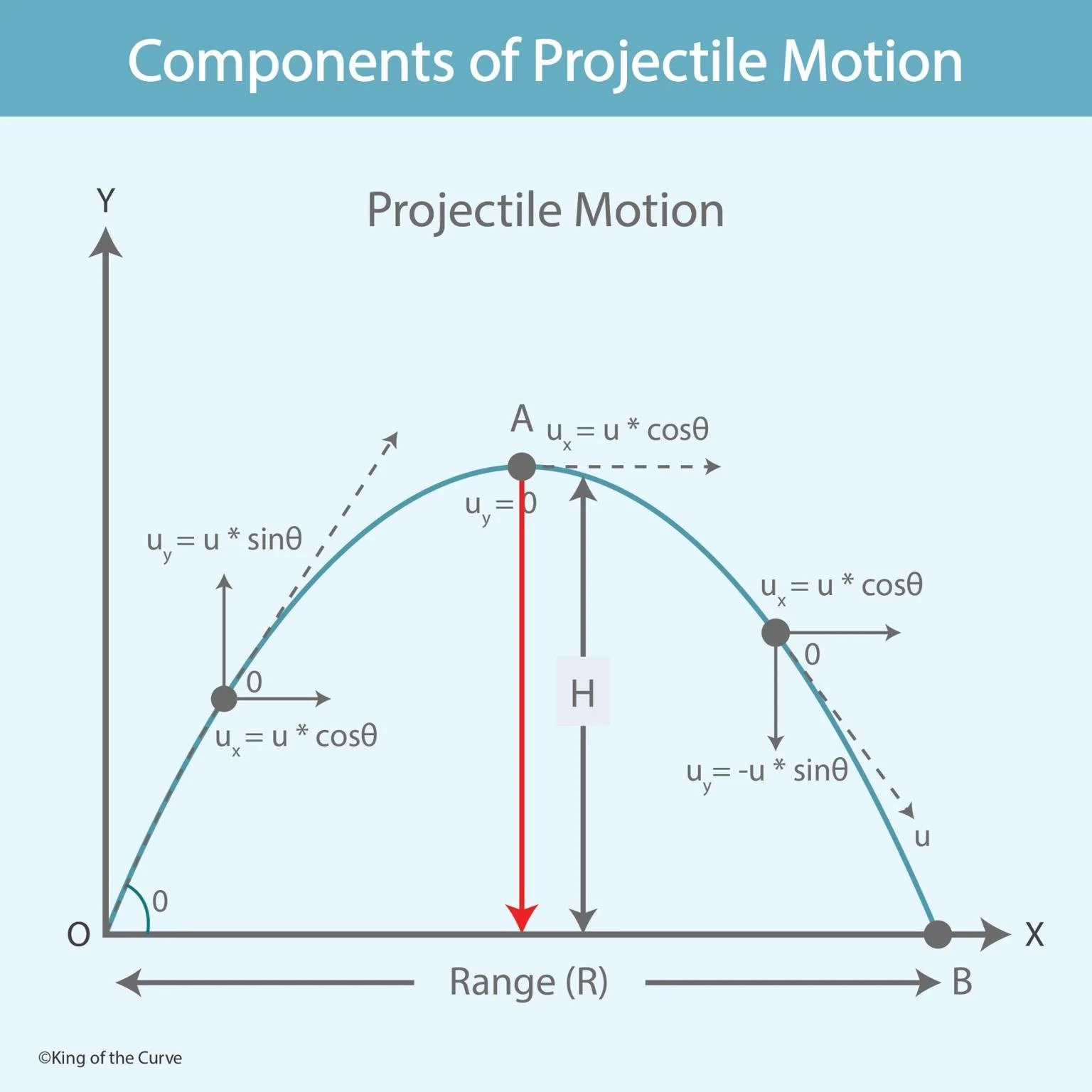 🎯 Components of Projectile Motion Explained