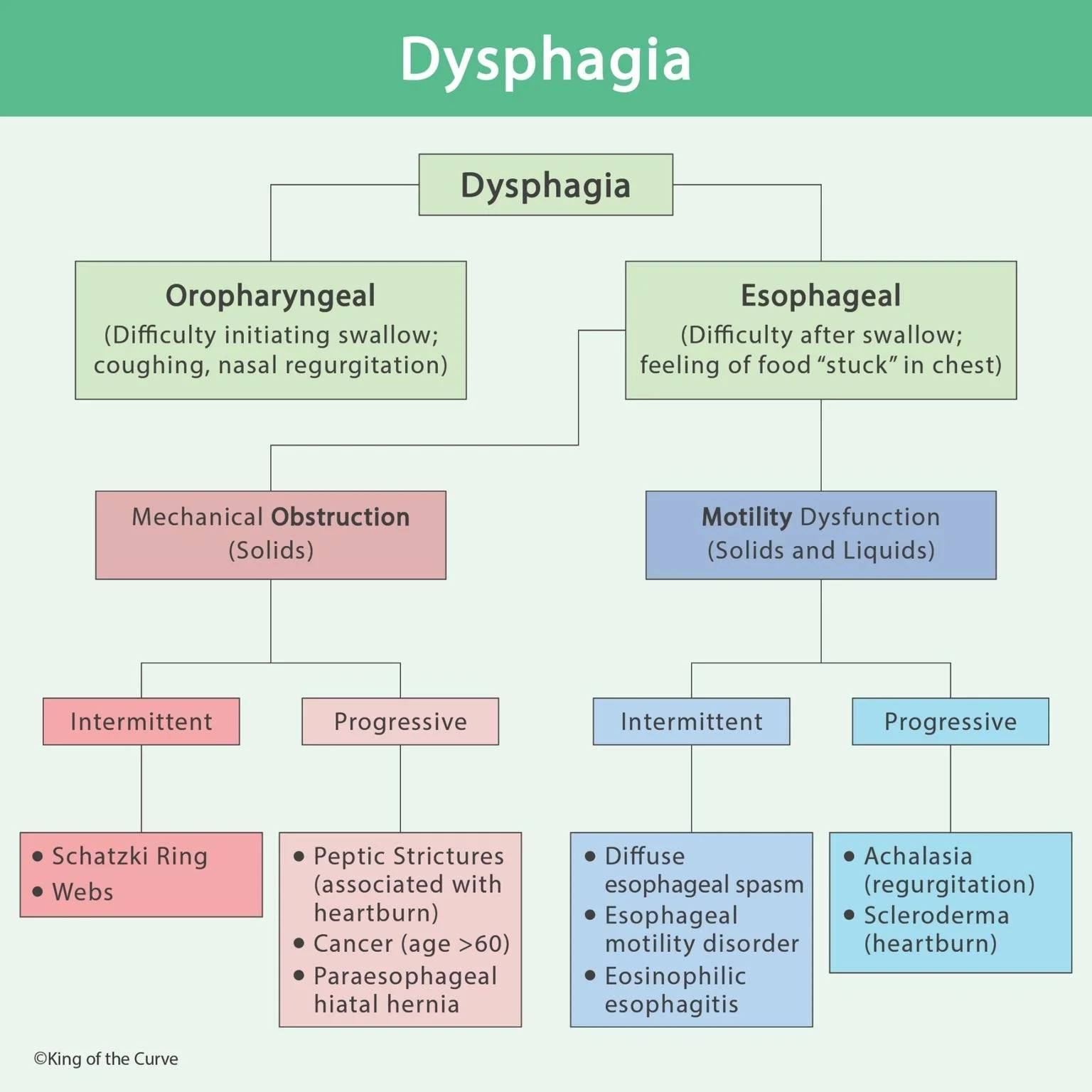 🩺 Dysphagia: A Clinical Approach to Swallowing Difficulty
