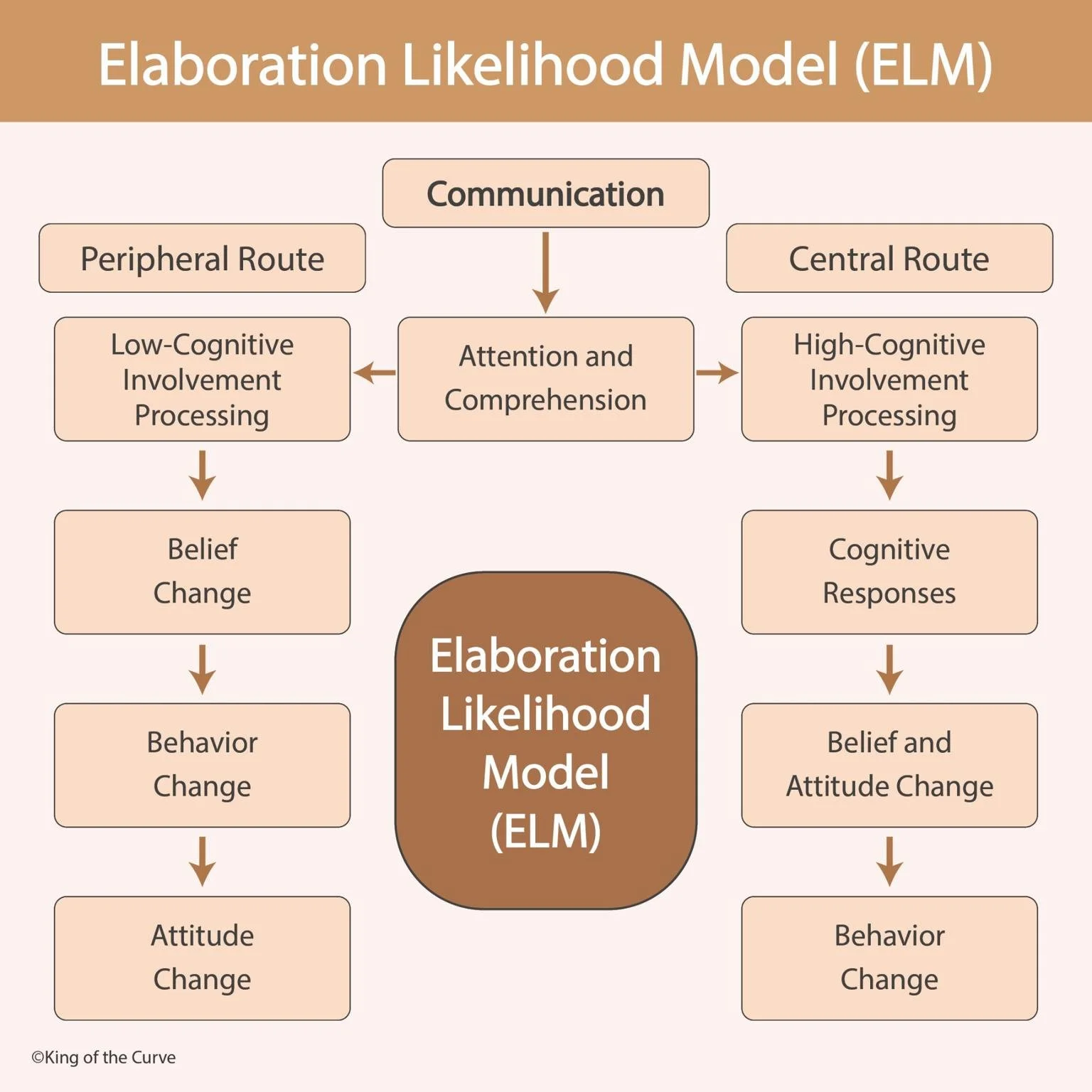 🧠 Elaboration Likelihood Model (ELM): How We Are Persuaded
