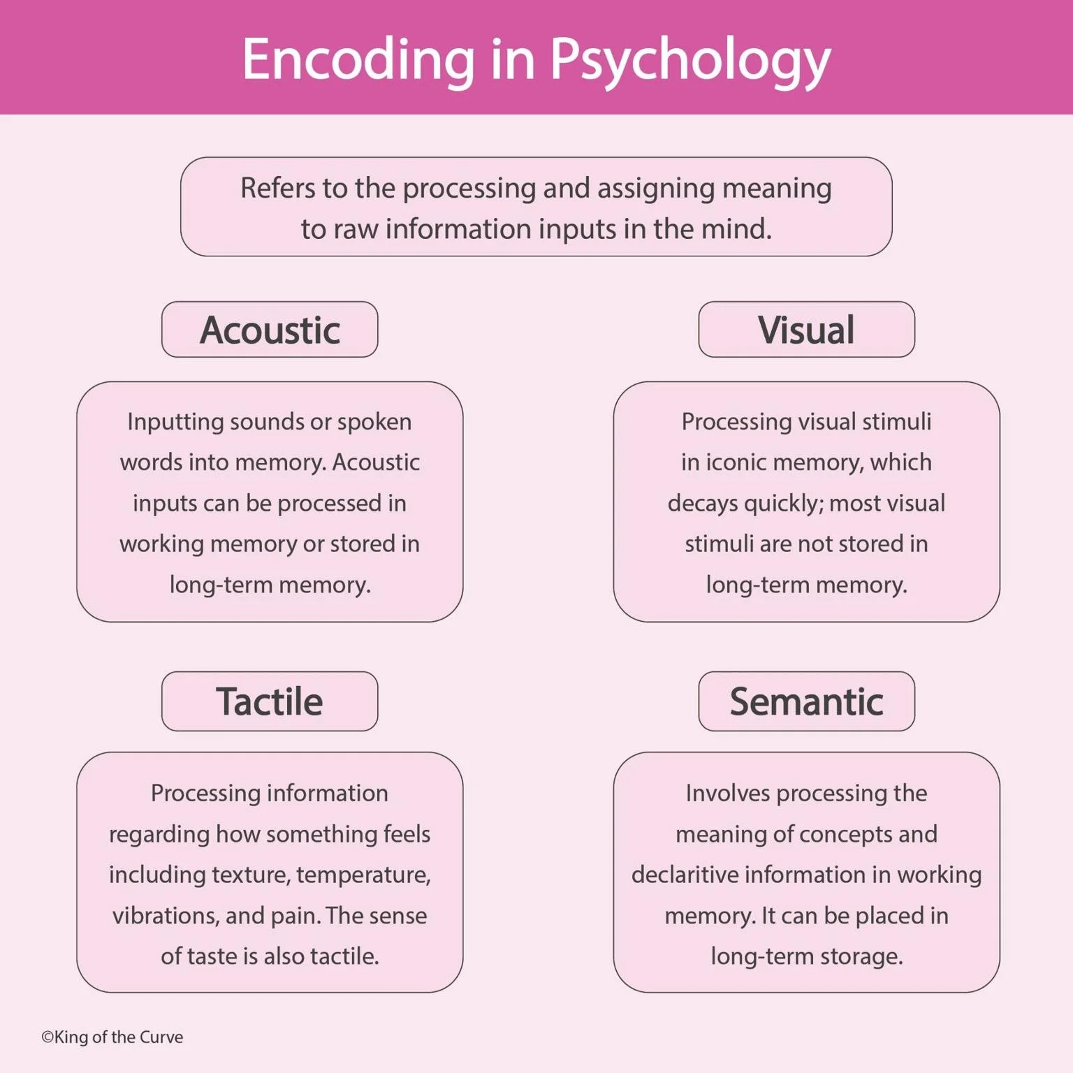 🧠 Encoding in Psychology: A High-Yield Guide for MCAT &amp; NCLEX