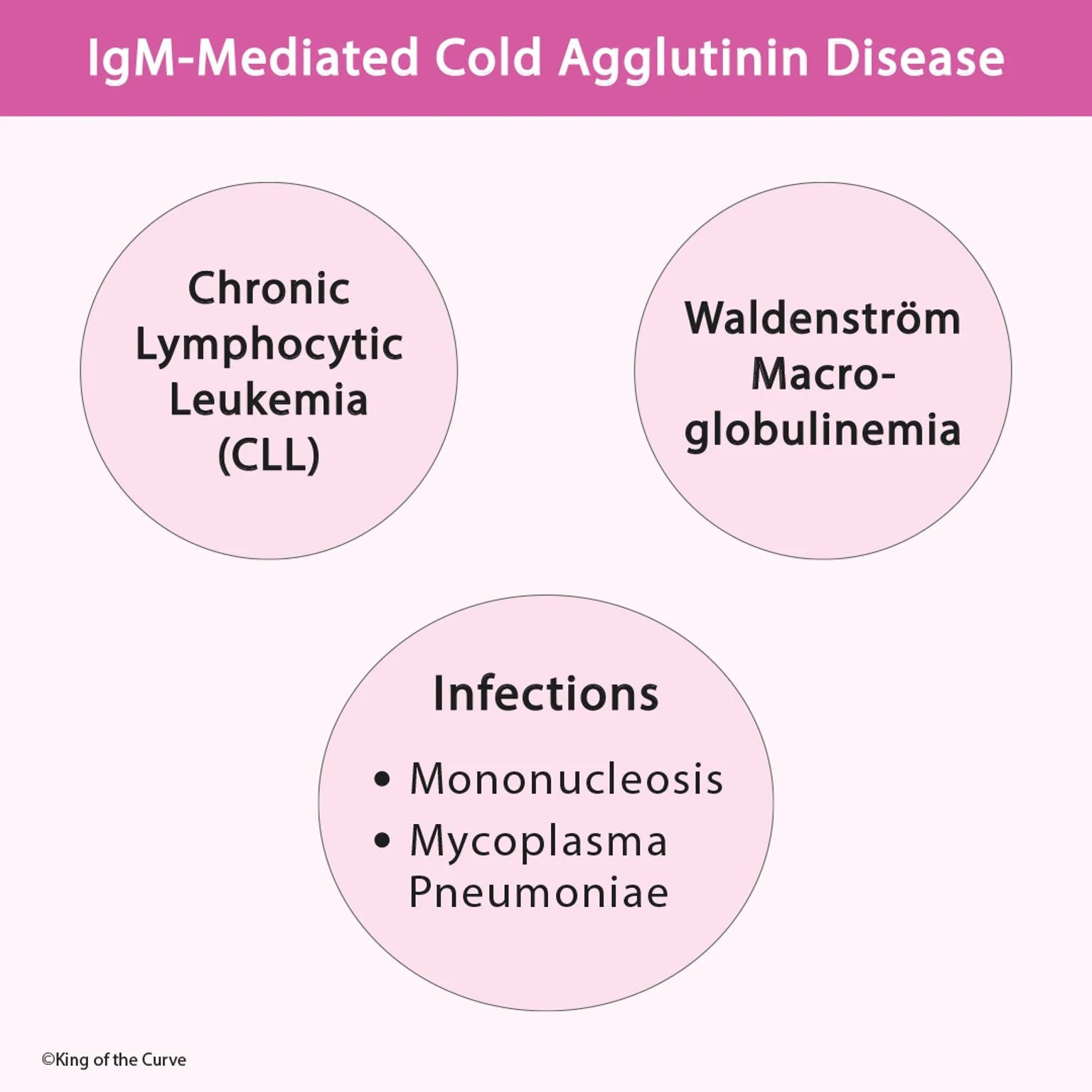 🩸 IgM-Mediated Cold Agglutinin Disease: Causes, Mechanism, and Associations