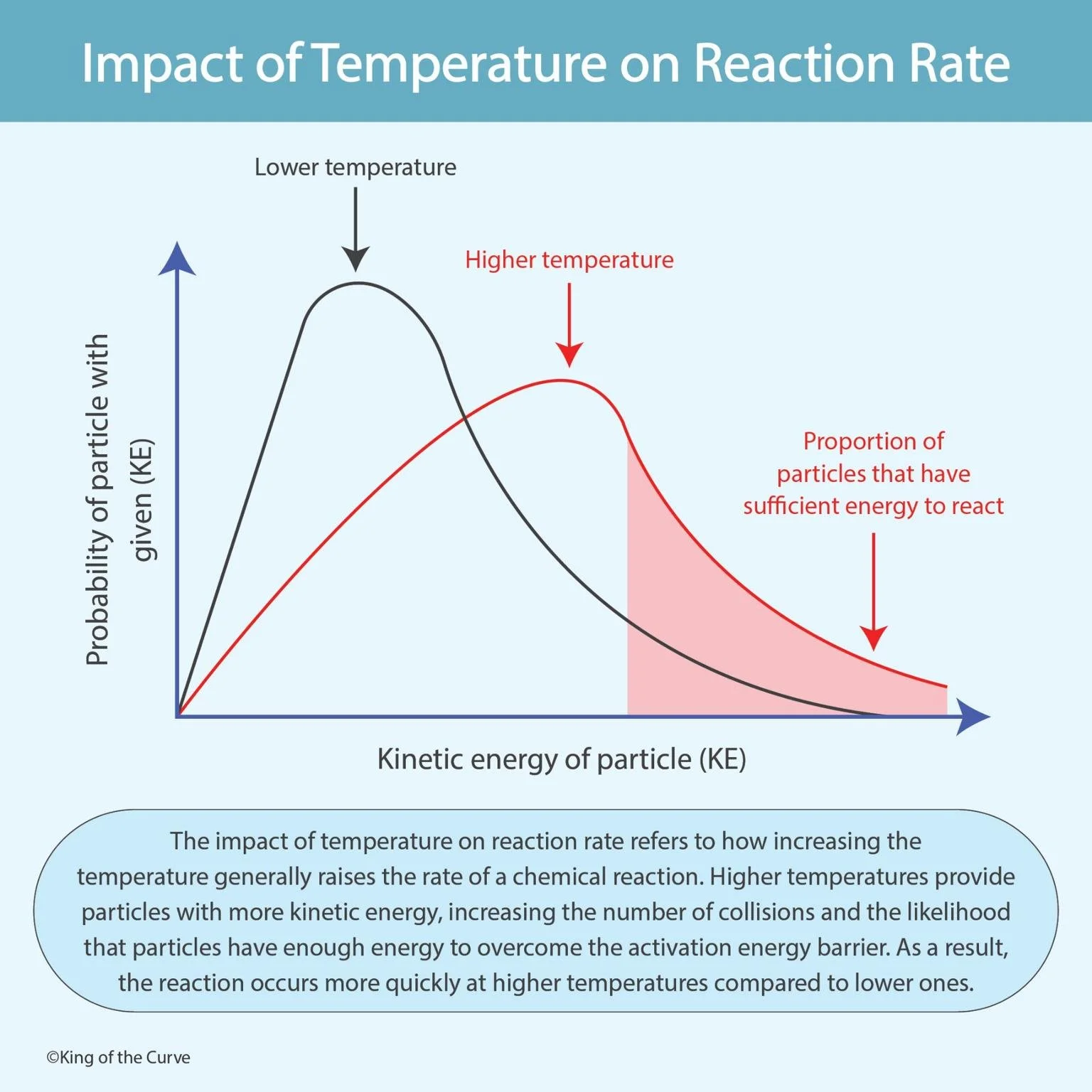 🌡️ Impact of Temperature on Reaction Rate