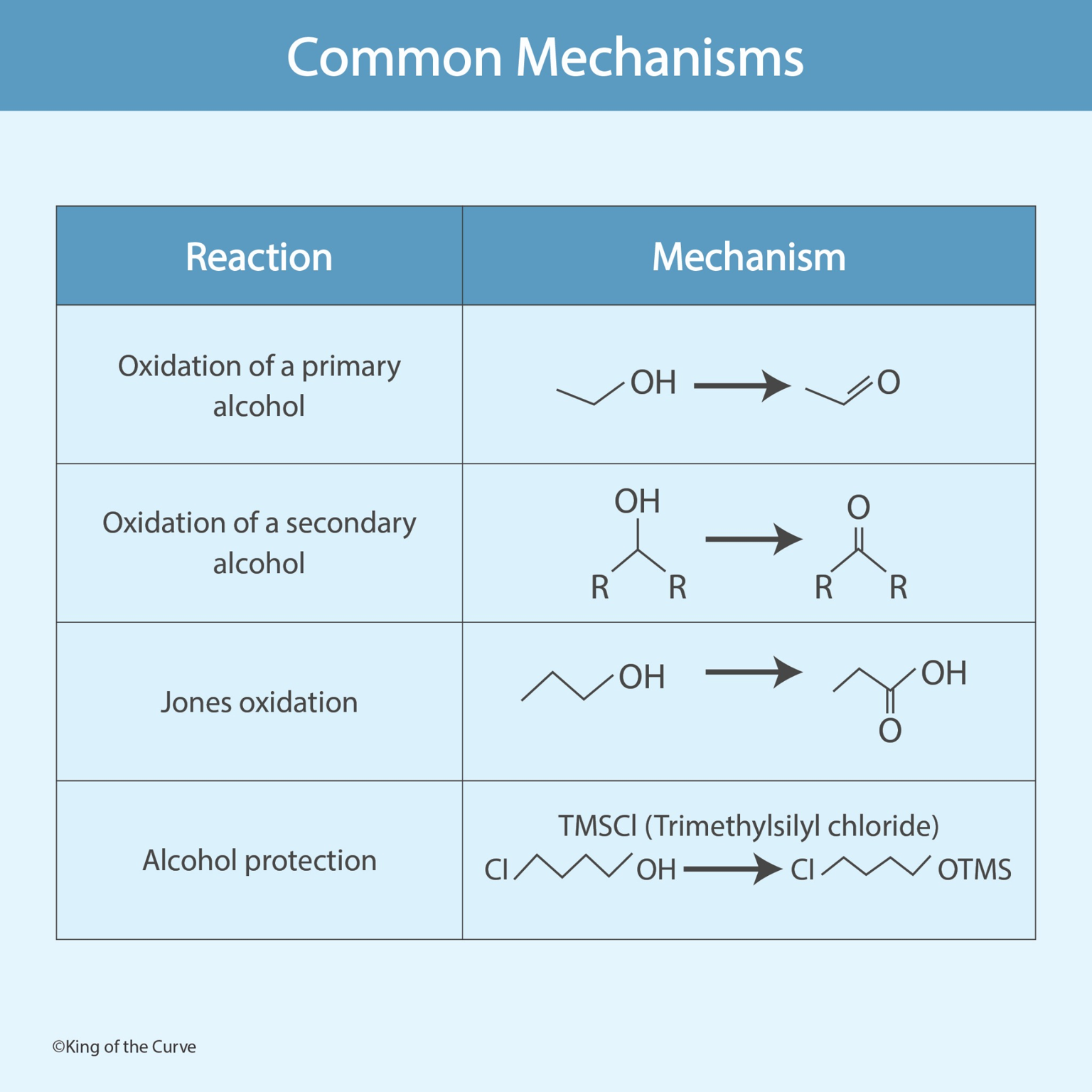 ⚗️ Common Mechanisms in Organic Chemistry