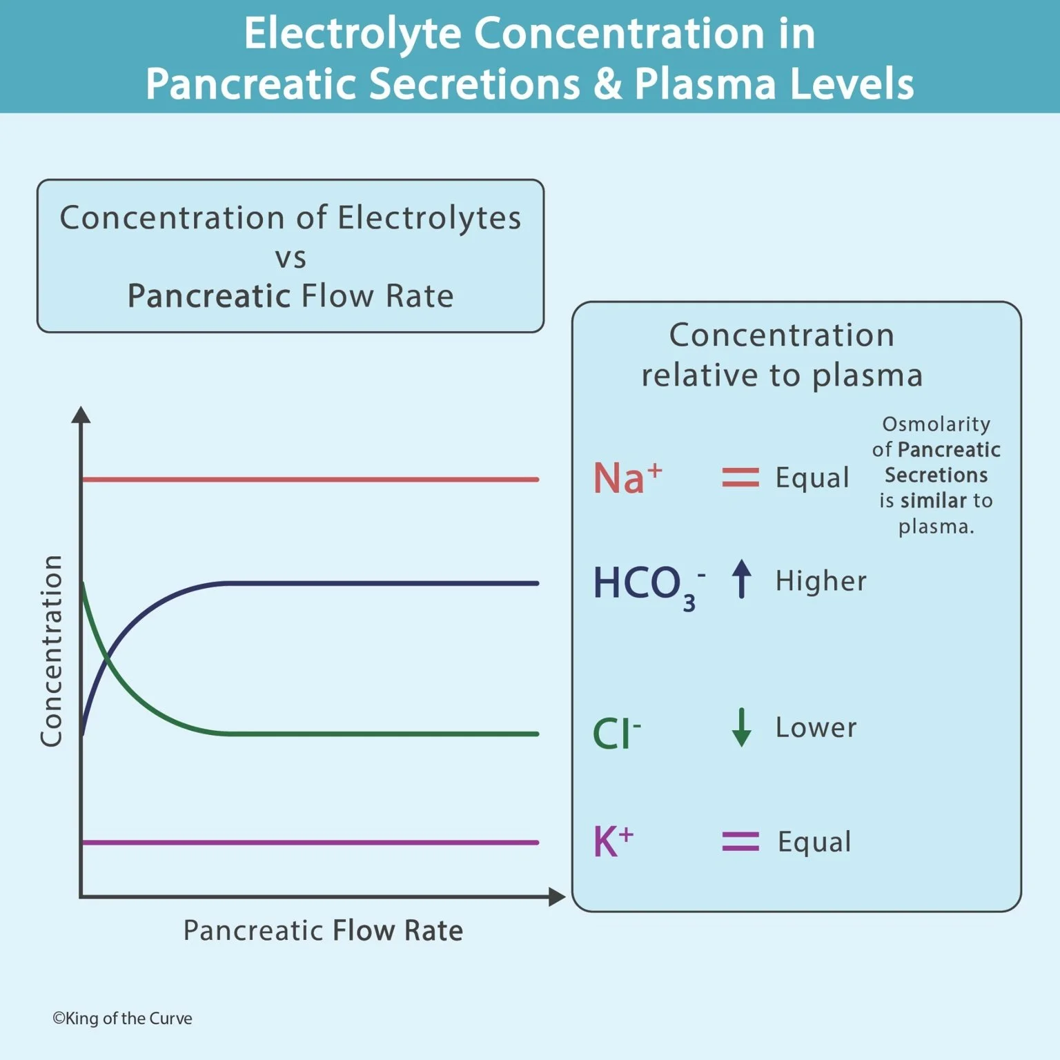 🧪 Electrolyte Concentration in Pancreatic Secretions &amp; Plasma Levels