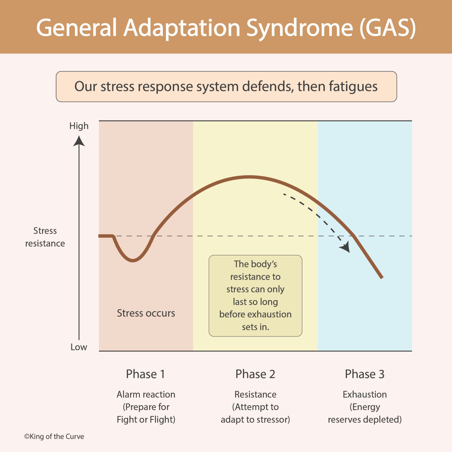 🧠 Understanding General Adaptation Syndrome (GAS)