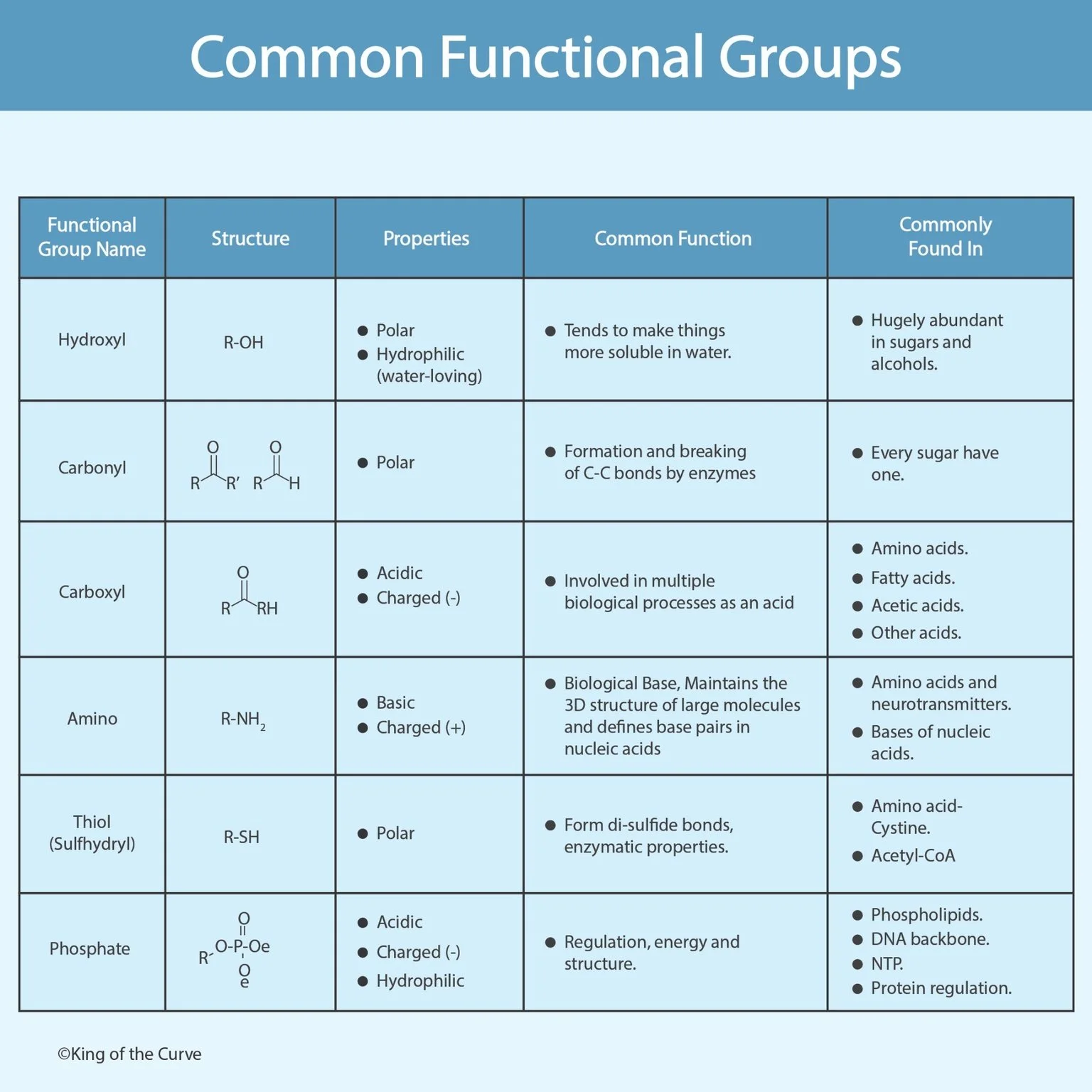 🧪 Common Functional Groups: The Building Blocks of Biochemistry and MCAT Success