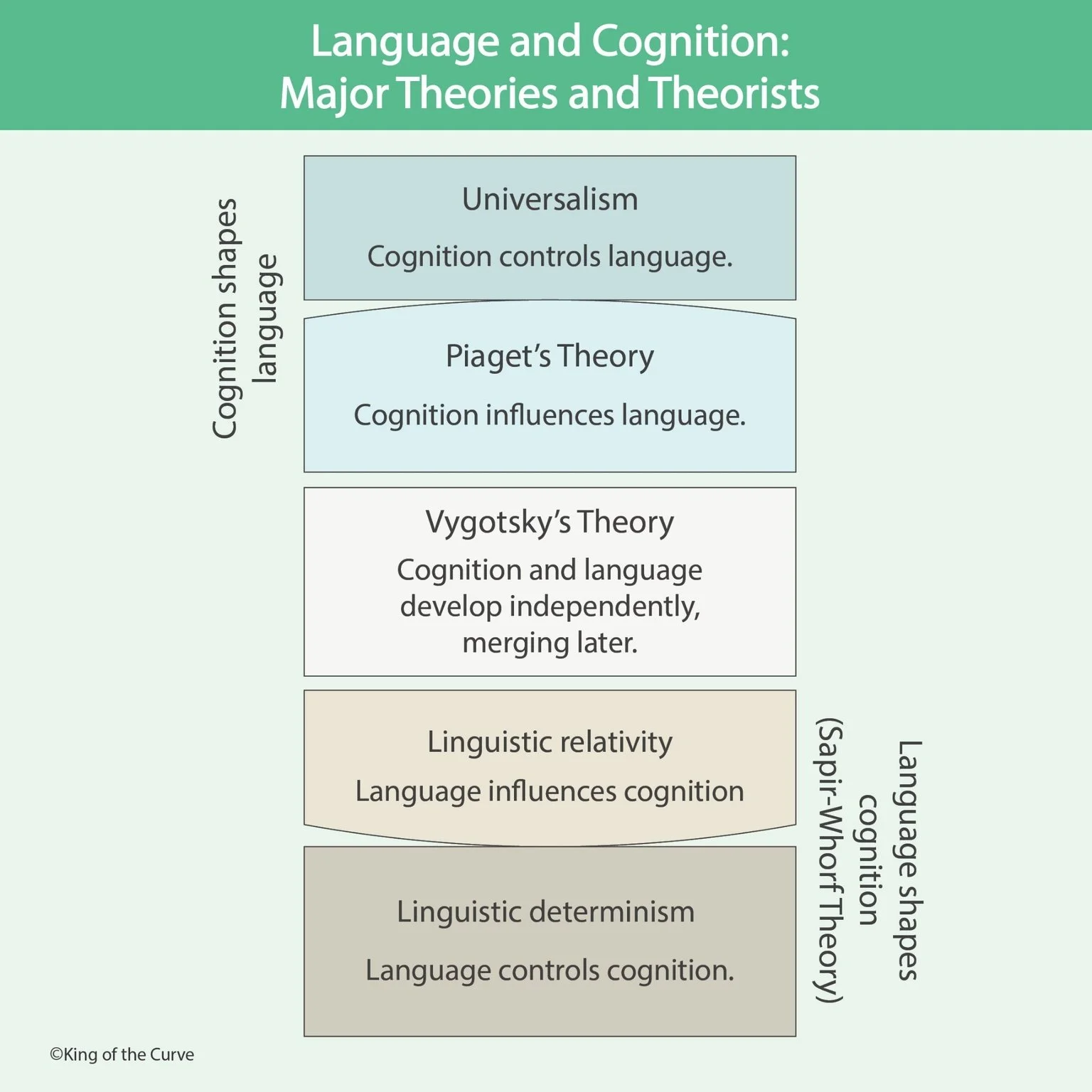 🧠 What Is the Relationship Between Language and Cognition?