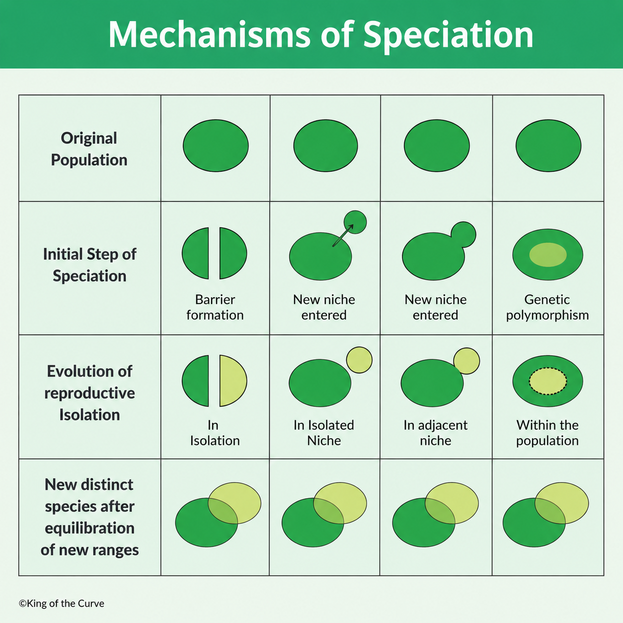 🧬 Mechanisms of Speciation: Types, Processes, and Evolutionary Significance