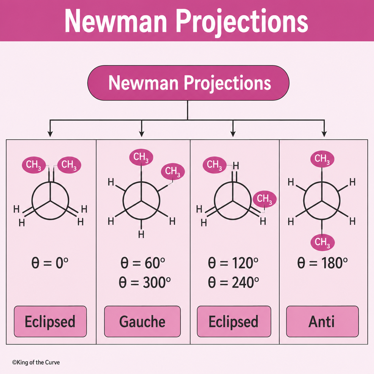 🧪 Newman Projections: Understanding Eclipsed, Gauche, and Anti Conformations