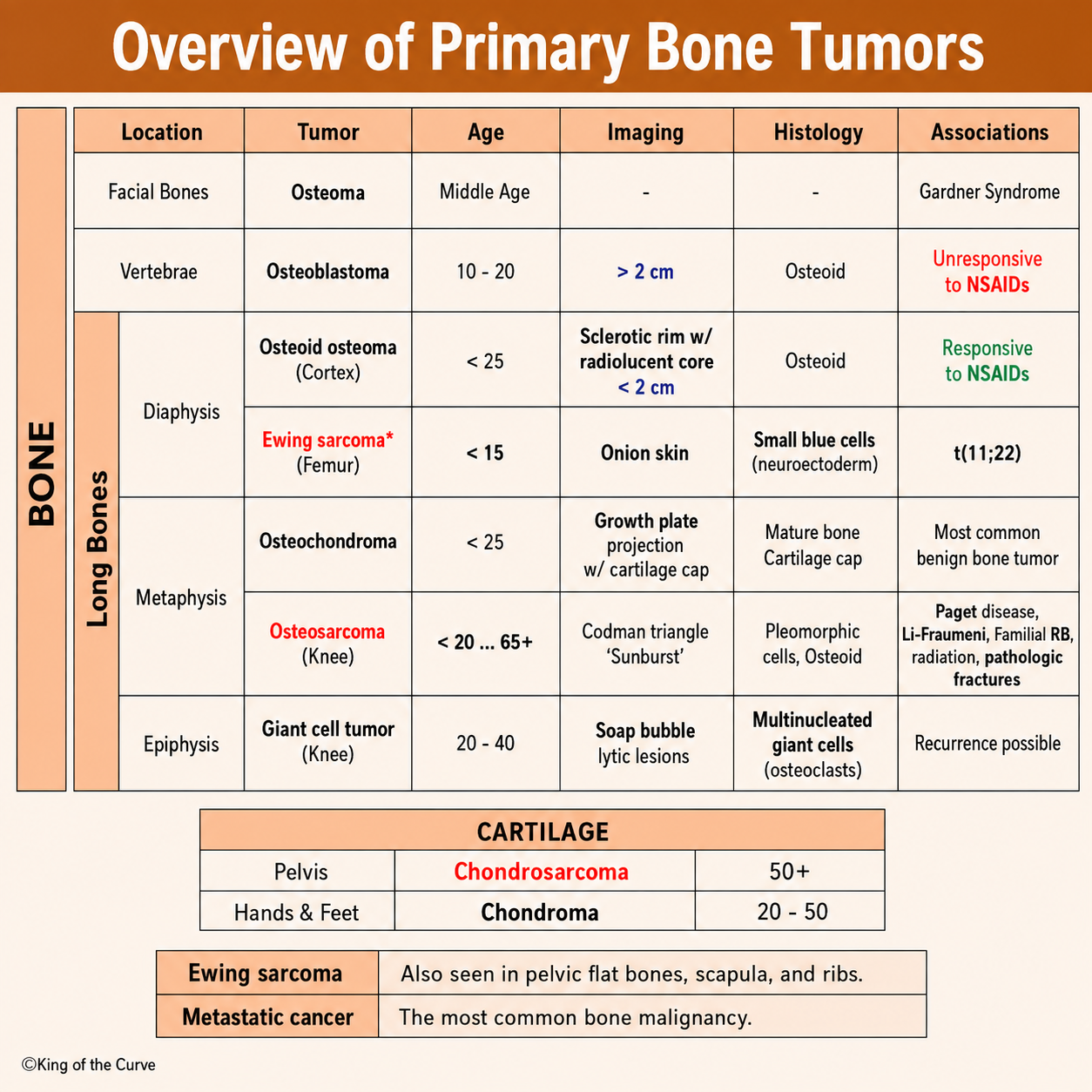 🦴 Overview of Primary Bone Tumors: High-Yield Guide for the MCAT