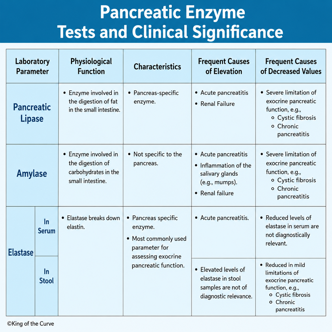 🧪 Pancreatic Enzyme Tests and Clinical Significance