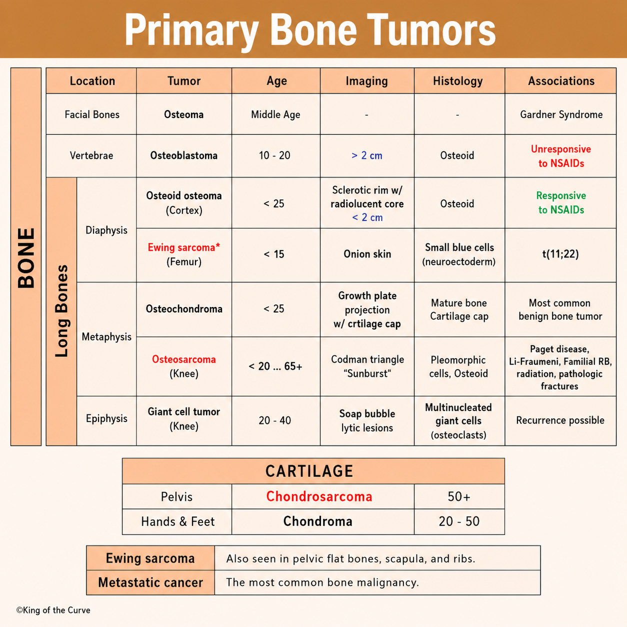 🦴 Primary Bone Tumors: High-Yield MCAT &amp; Medical School Guide