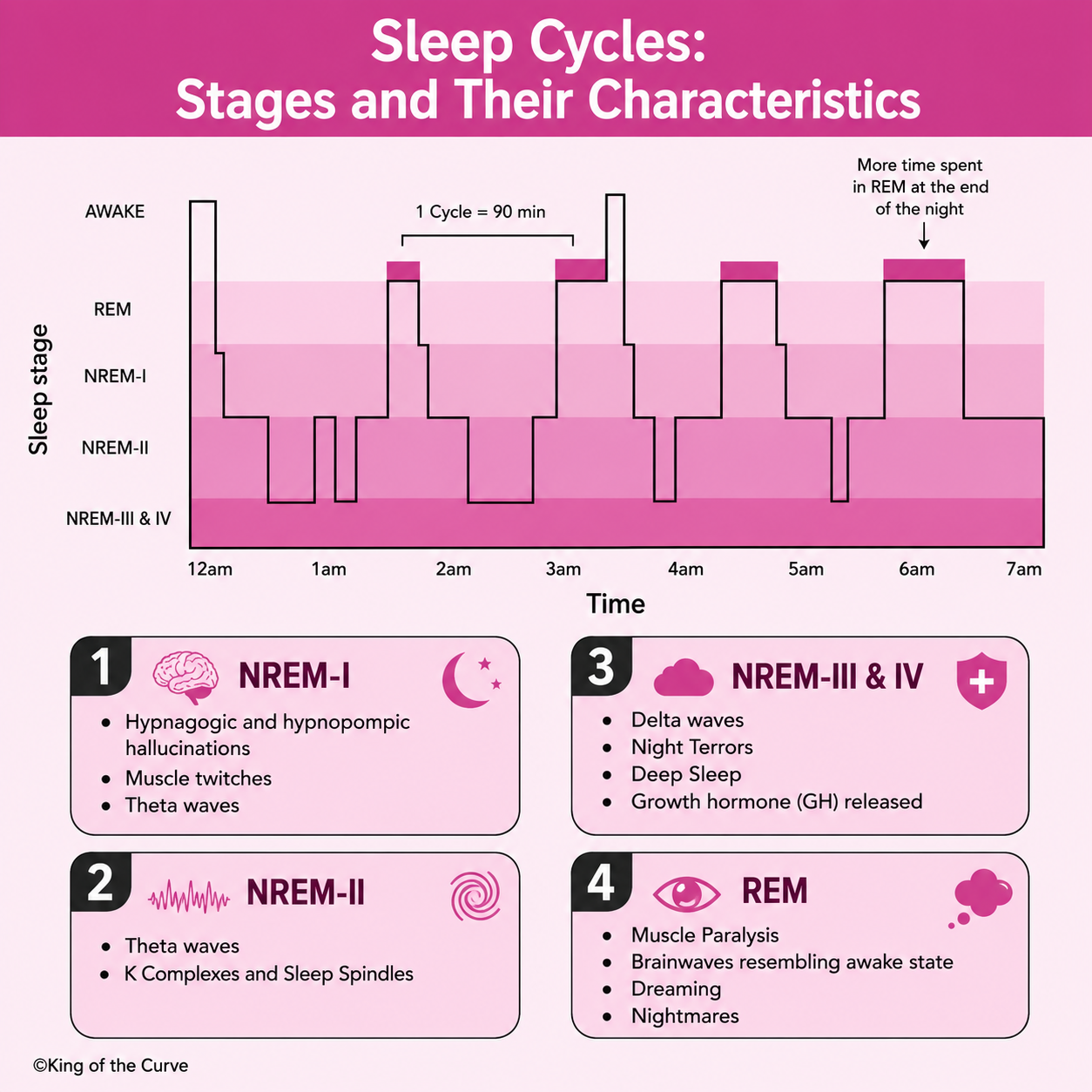 😴 Sleep Cycles: Stages and Their Characteristics