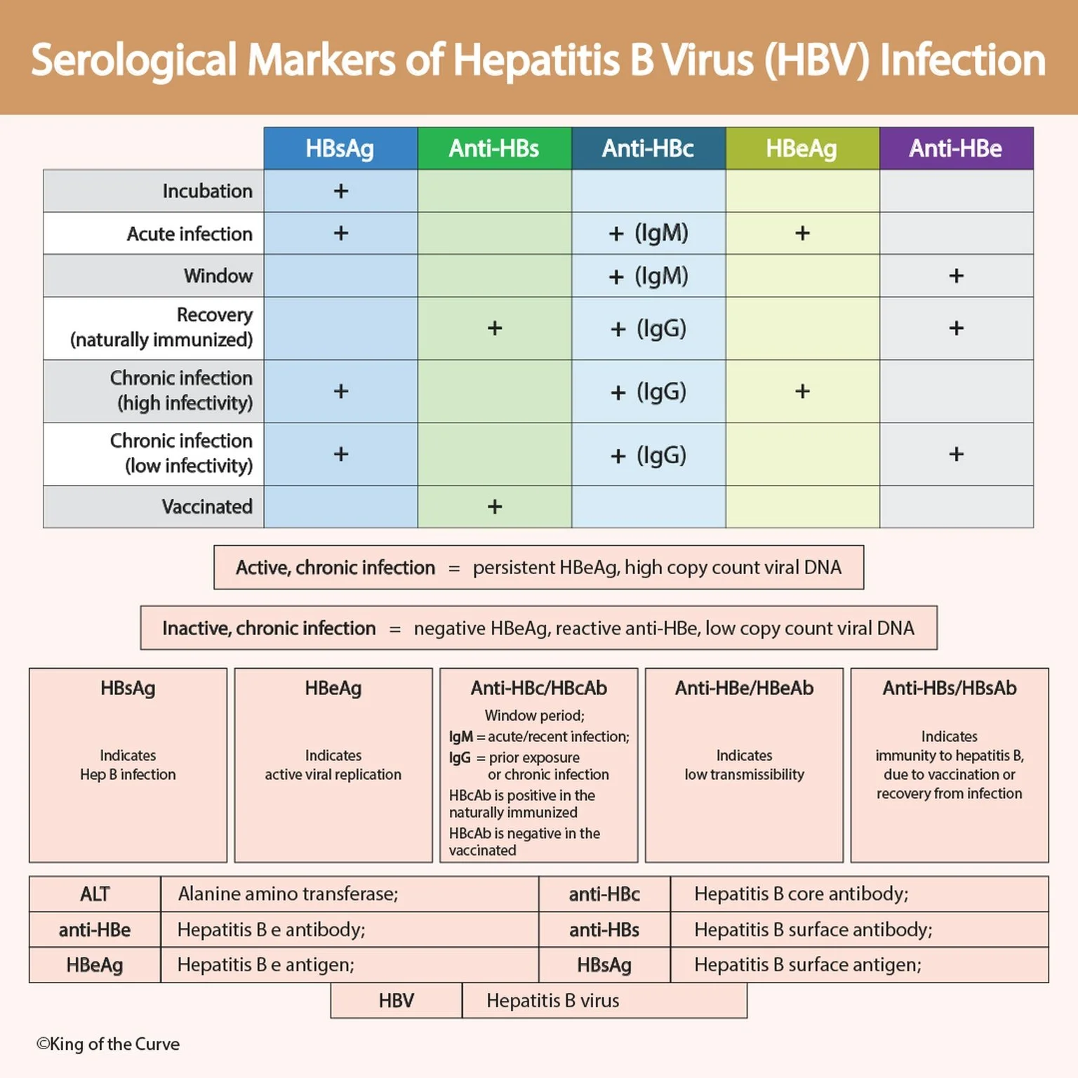 🦠 Serological Markers of Hepatitis B Virus (HBV) Infection