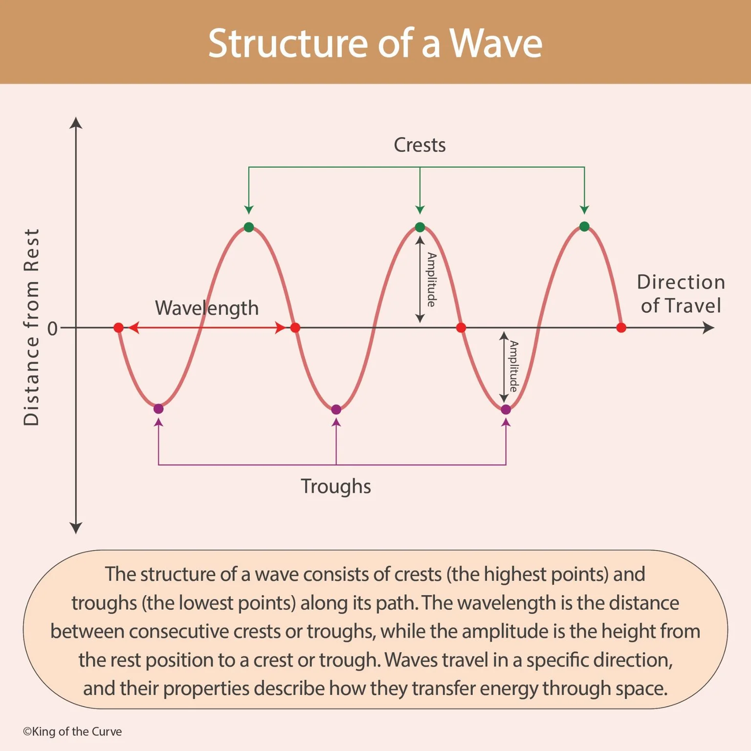 🌊 Structure of a Wave: Wavelength, Amplitude, Crests, and Troughs