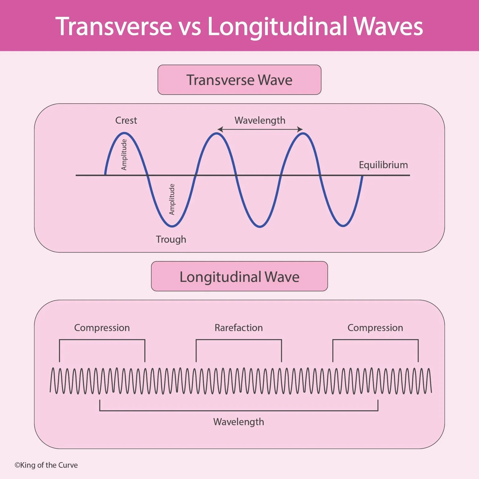🌊 Transverse vs Longitudinal Waves: Key Differences for the MCAT