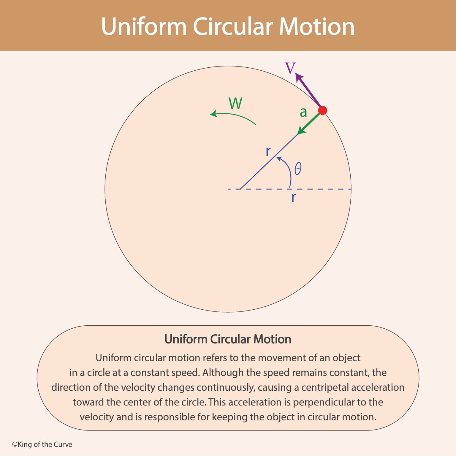 🔄 Uniform Circular Motion: Centripetal Acceleration, Velocity, and Force
